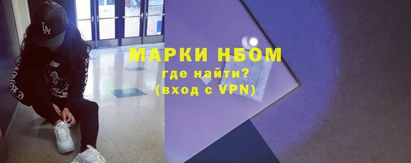 амф Верхний Тагил