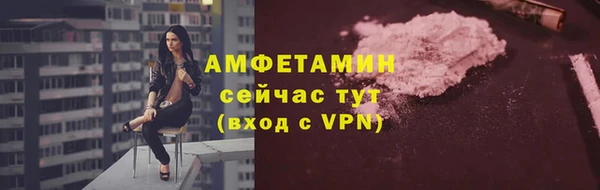 амф Верхний Тагил