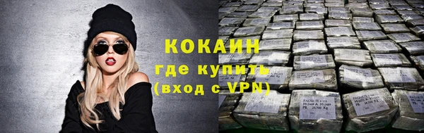 крисы Богородск