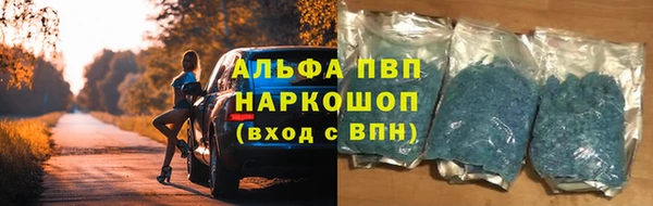 гашик Волосово